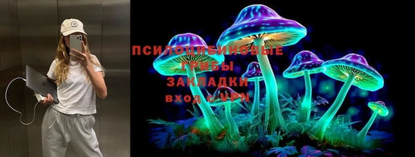 a pvp Аркадак