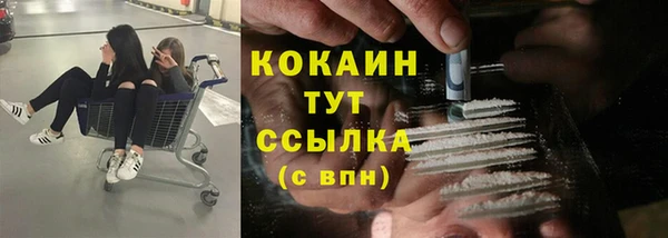 a pvp Аркадак