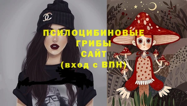 a pvp Аркадак