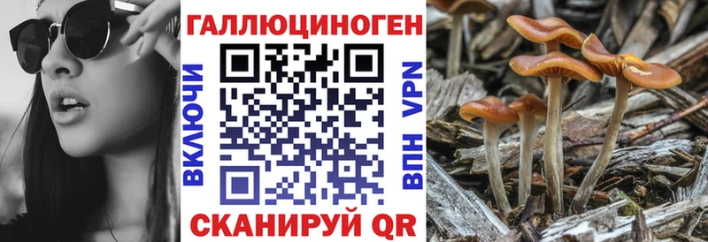 Псилоцибиновые грибы GOLDEN TEACHER  Купить  Нелидово 